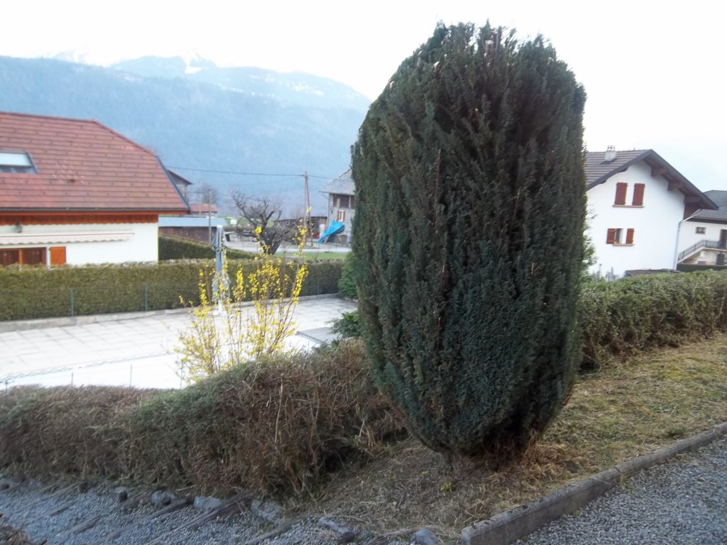 Différentes tailles  jardinier sur albertville 73200 Savoie