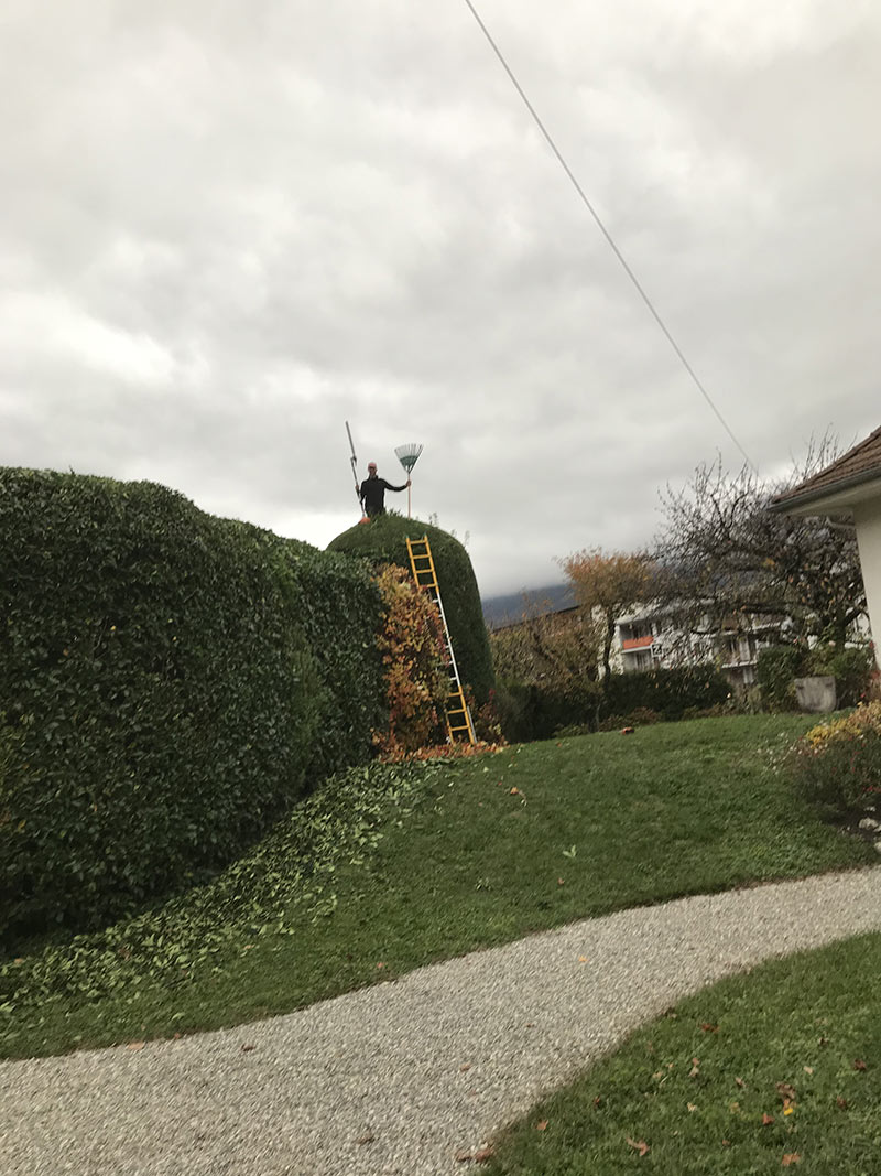 Différentes tailles  jardinier sur albertville 73200 Savoie